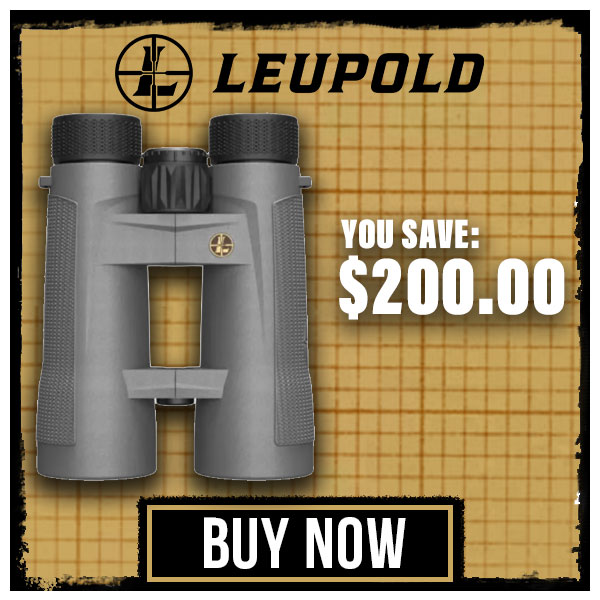 Leupold BX-4 Pro Guide HD 10x50mm Roof Shadow Gray