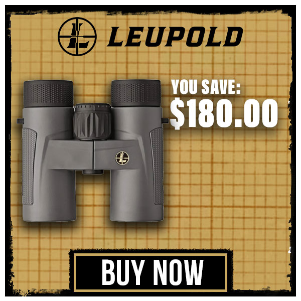 Leupold BX-4 Pro Guide HD 8x32mm Roof Shadow Gray