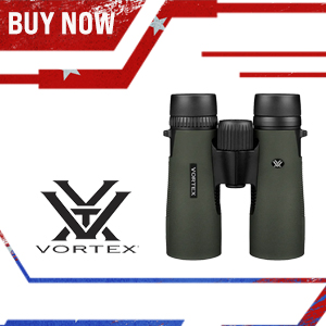 Vortex Diamondback HD 10x42 Binoculars