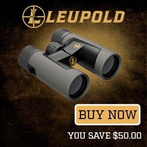 Leupold DeltaPoint Micro Reflex Sight 3 MOA Dot - Glock